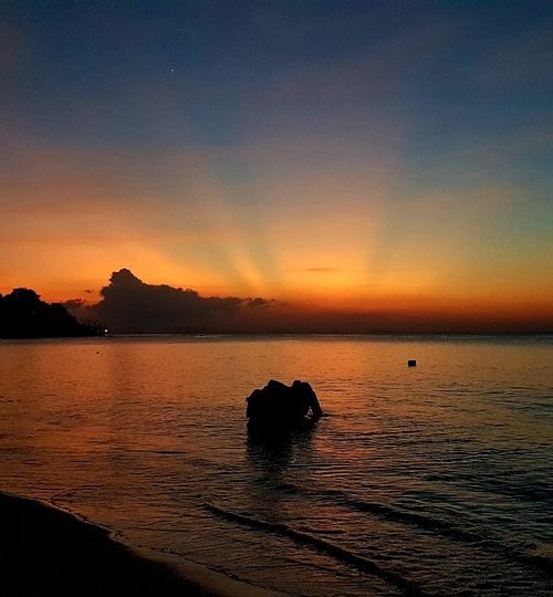 sunset-4917870_960_720